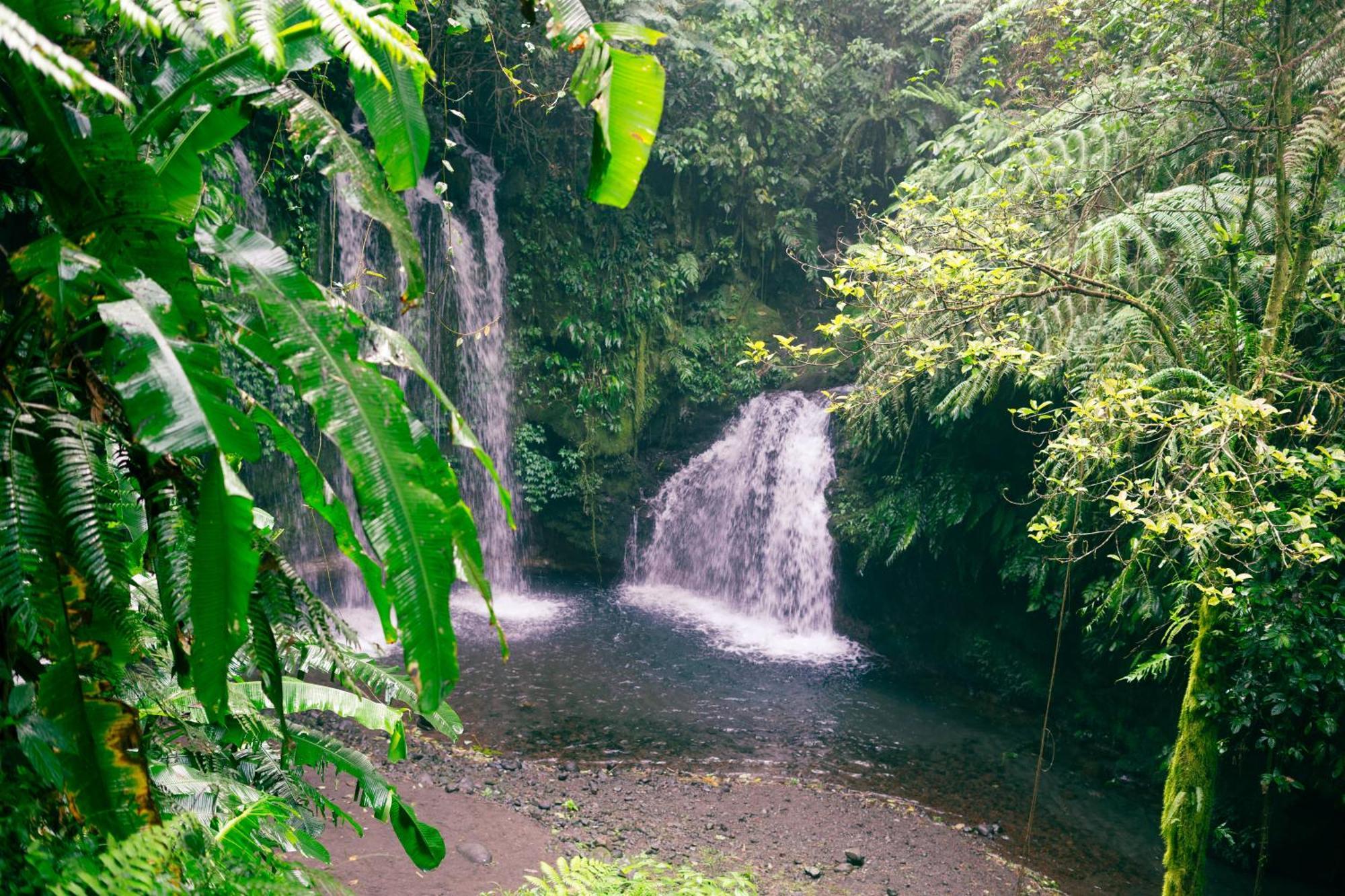 Santya Loka Lodge & Twin Waterfall Джатилувих Екстериор снимка