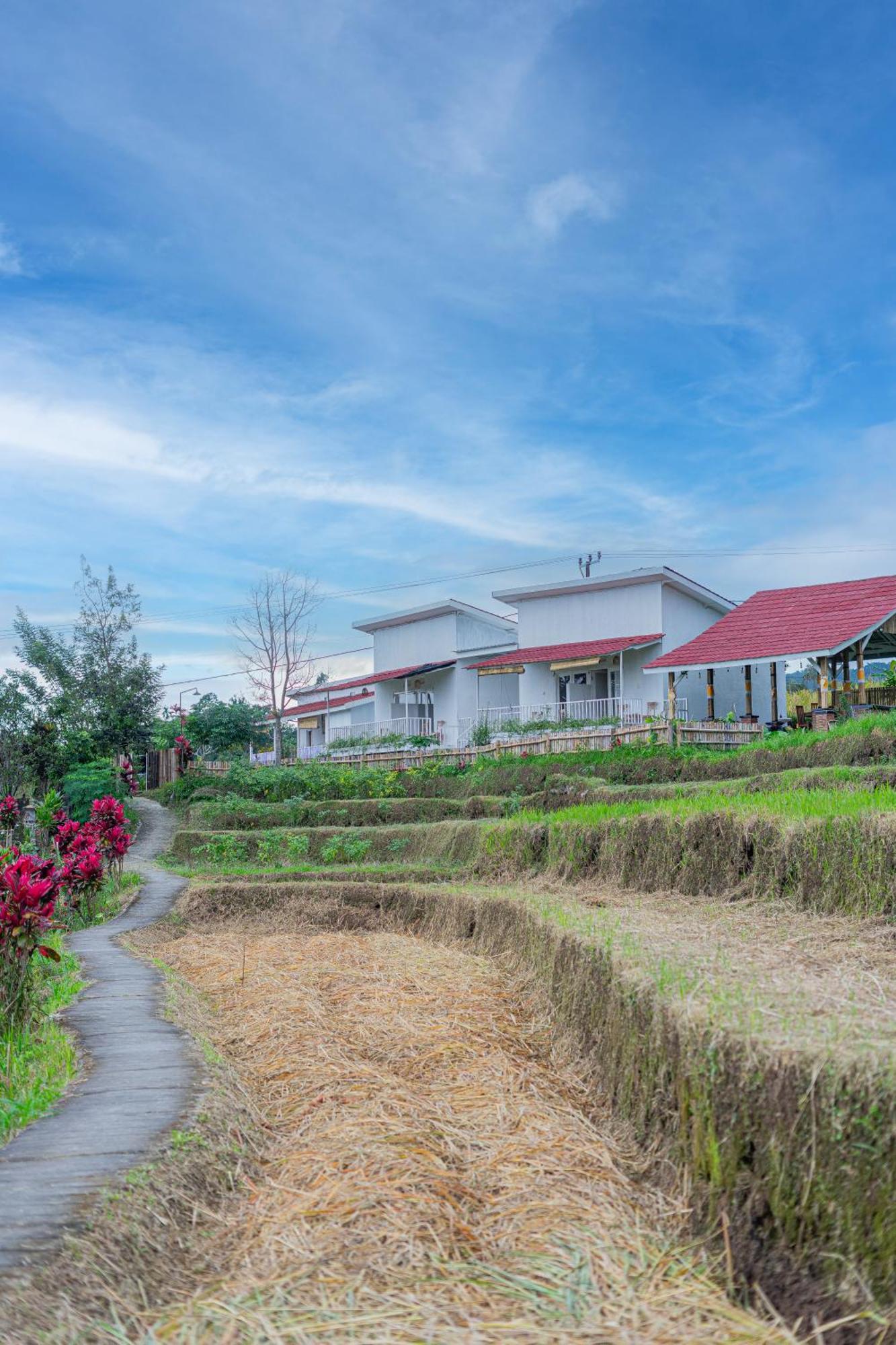 Santya Loka Lodge & Twin Waterfall Джатилувих Екстериор снимка