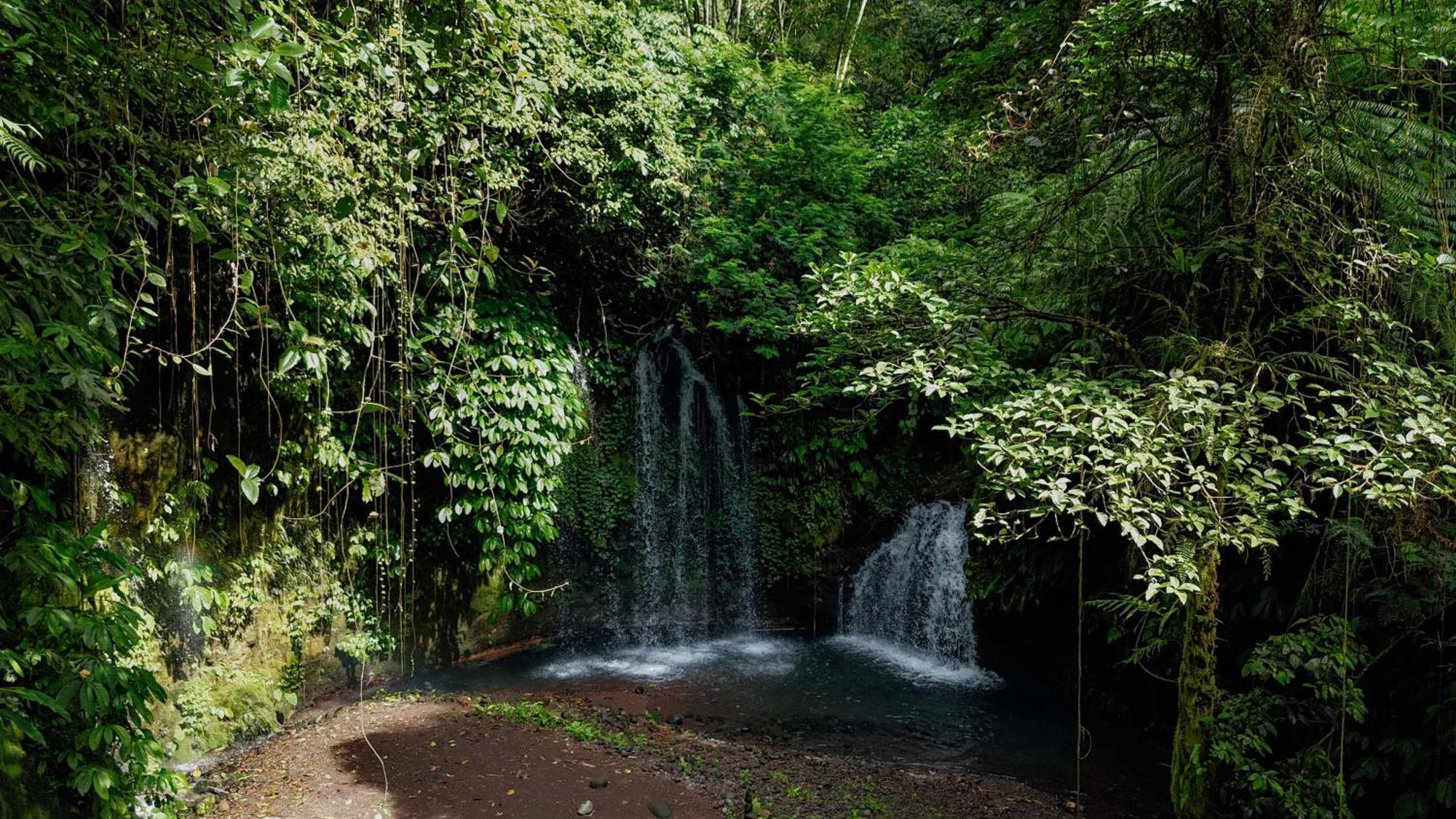 Santya Loka Lodge & Twin Waterfall Джатилувих Екстериор снимка