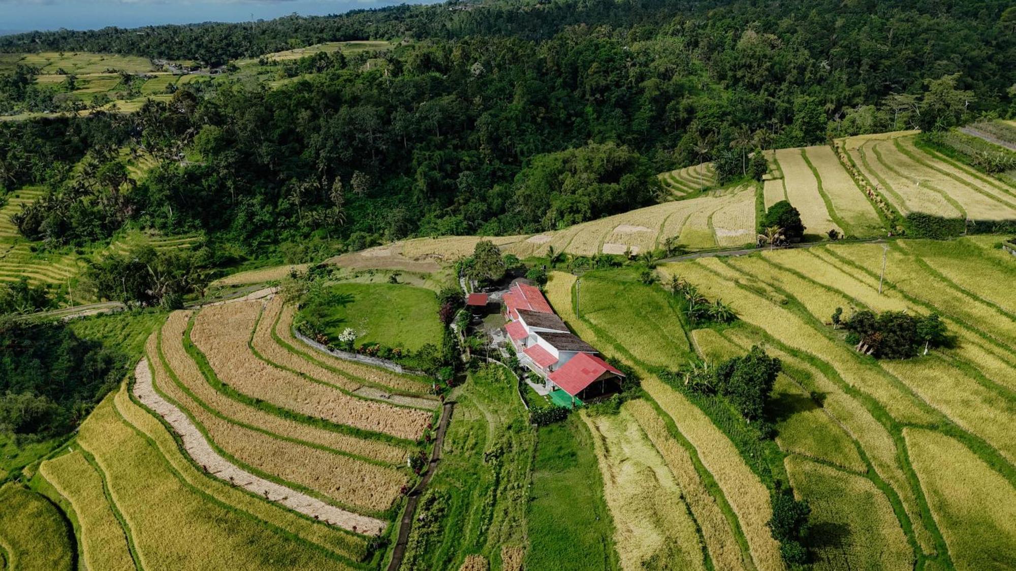 Santya Loka Lodge & Twin Waterfall Джатилувих Екстериор снимка