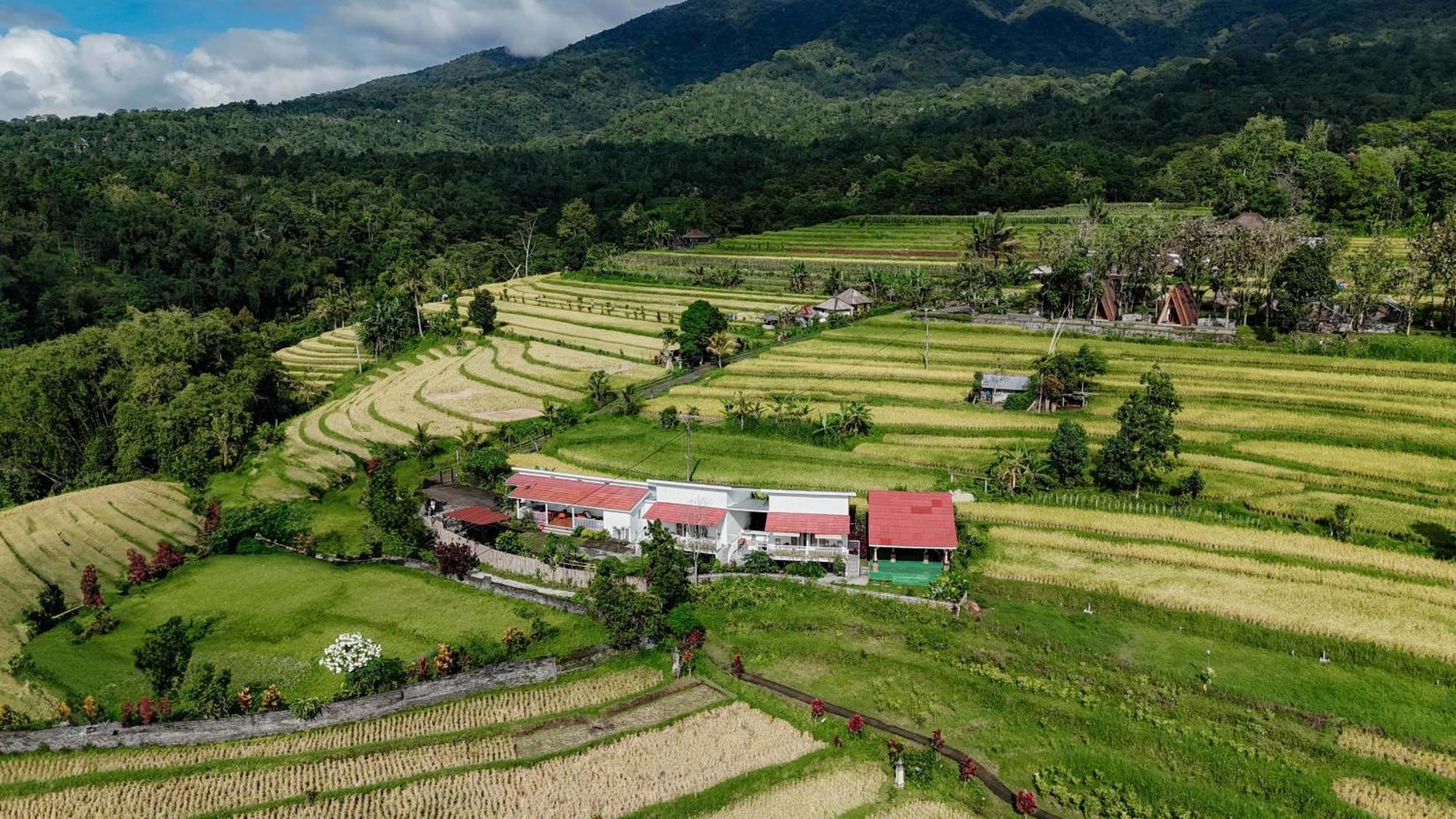 Santya Loka Lodge & Twin Waterfall Джатилувих Екстериор снимка
