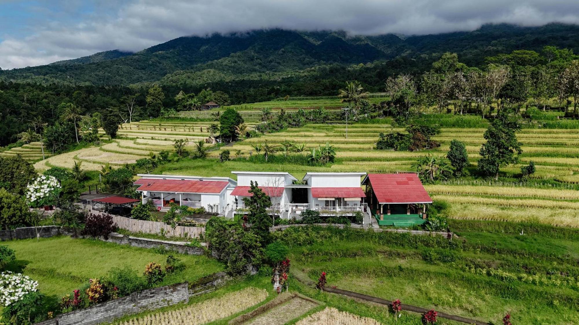 Santya Loka Lodge & Twin Waterfall Джатилувих Екстериор снимка