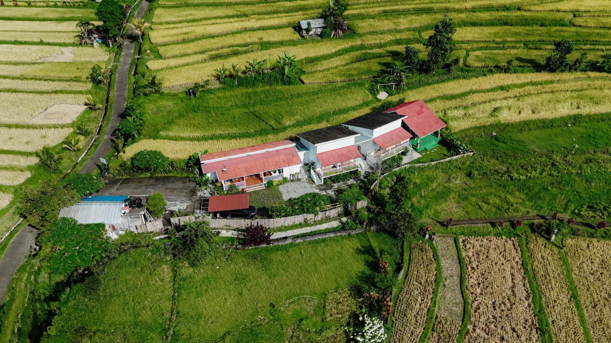 Santya Loka Lodge & Twin Waterfall Джатилувих Екстериор снимка