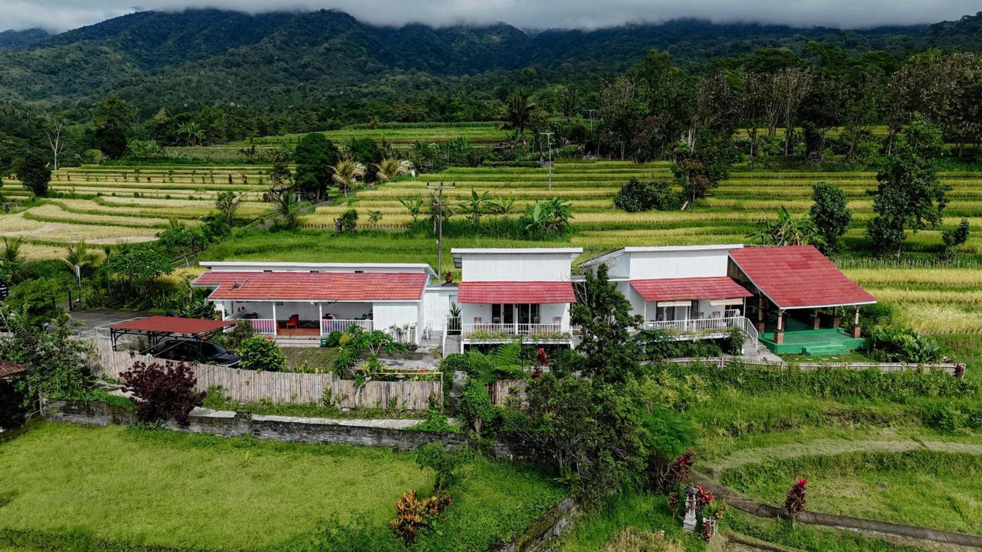 Santya Loka Lodge & Twin Waterfall Джатилувих Екстериор снимка