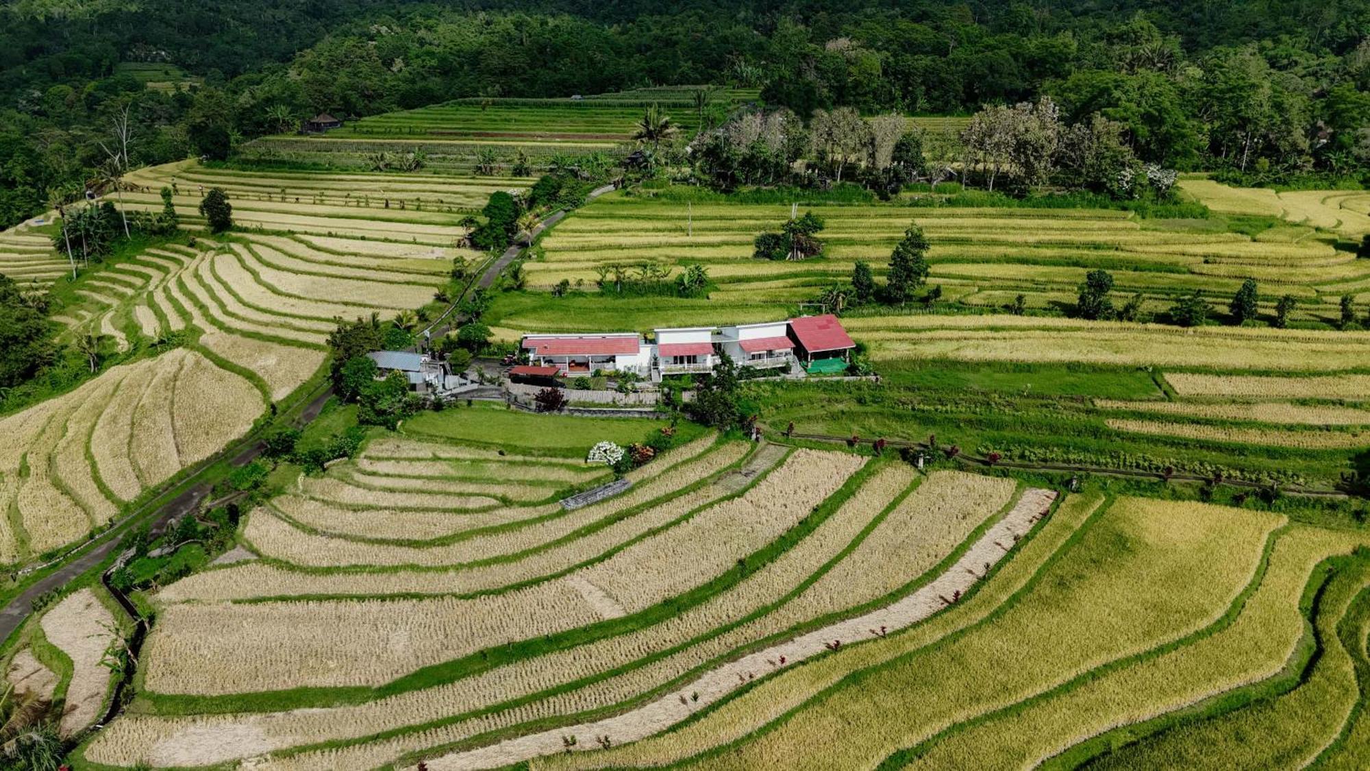 Santya Loka Lodge & Twin Waterfall Джатилувих Екстериор снимка