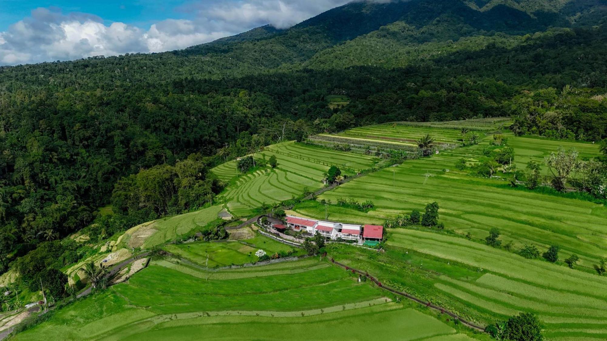 Santya Loka Lodge & Twin Waterfall Джатилувих Екстериор снимка
